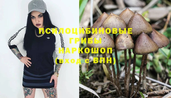 кокс Абдулино