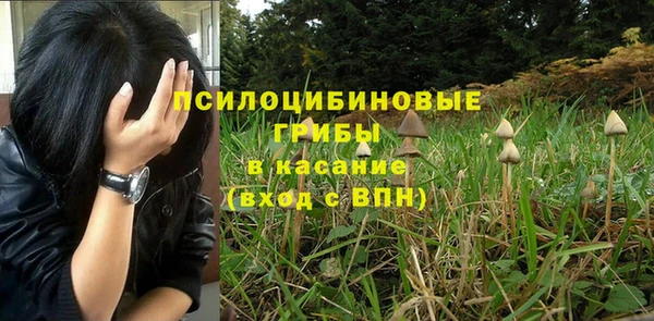 бутират Алзамай