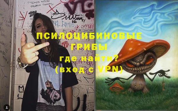 apvp Абинск