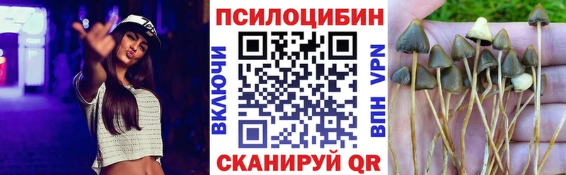 Псилоцибиновые грибы Psilocybe Красноуфимск